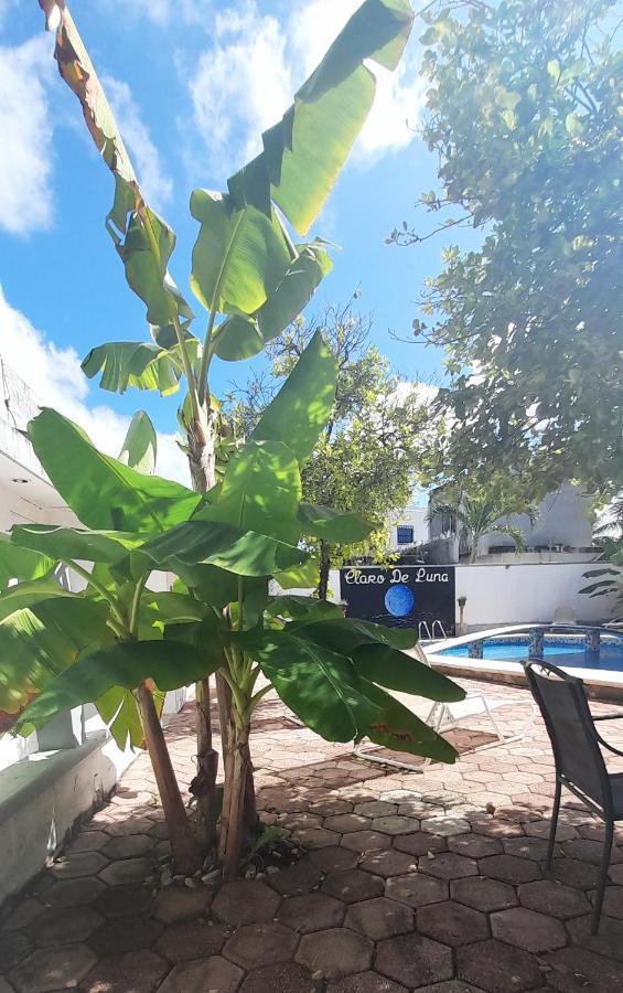 Claro De Luna Playa del Carmen Exteriér fotografie